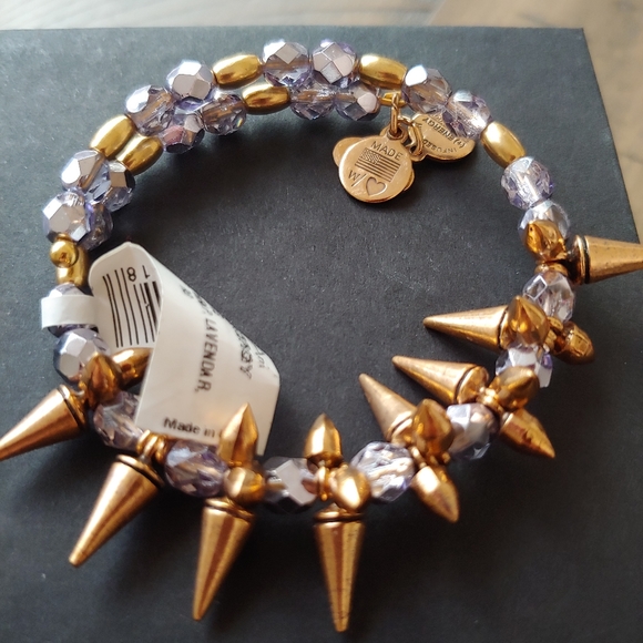 Alex and Ani Jewelry - NWT Alex and Ani Rock and Raw Wrap Bracelet